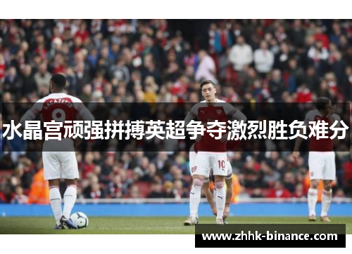 水晶宫顽强拼搏英超争夺激烈胜负难分